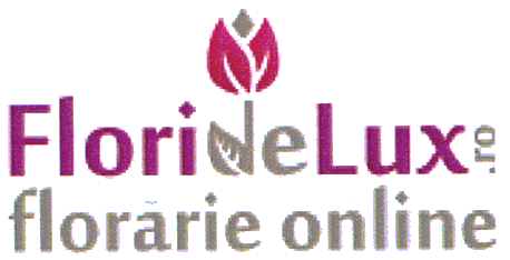 FlorideLux.ro florărie online