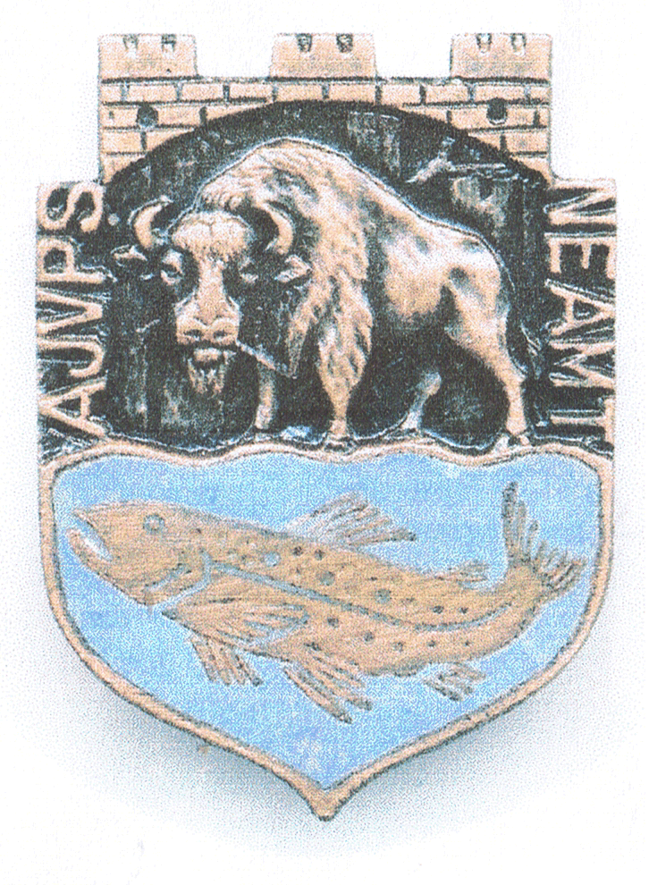 AJVPS NEAMT