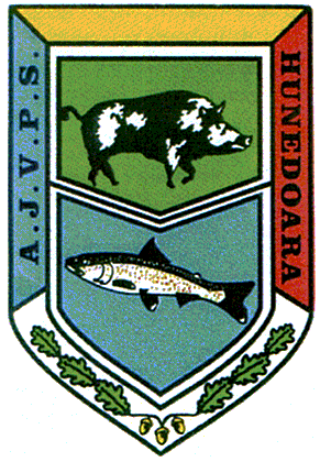 A.J.V.P.S. HUNEDOARA