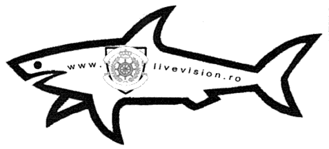 www livevision.ro (viziune directa)