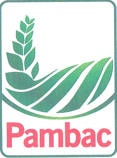 Pambac
