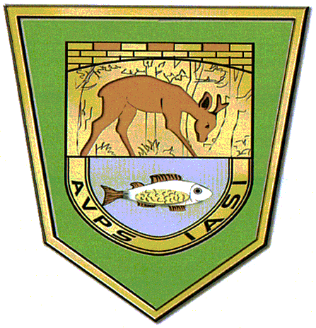 A.V.P.S. IAŞI
