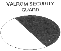 VALROM SECURITY GUARD
