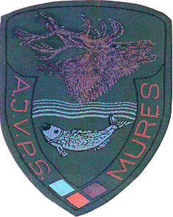 A.J.V.P.S. MUREŞ