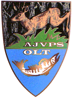 AJVPS OLT
