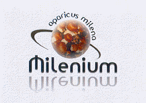 AQARICUS MILENA MILENIUM