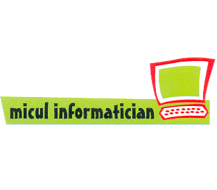 micul informatician