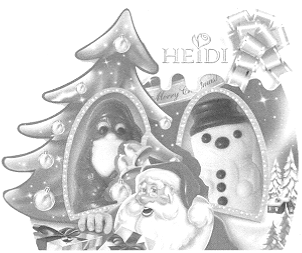 HEIDI MERRY CHRISTMAS