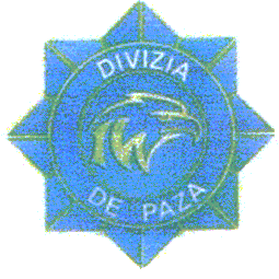 DIVIZIA DE PAZĂ