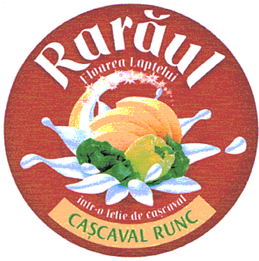 Rarăul Floarea Laptelui într-o felie de caşcaval CAŞCAVAL RUNC