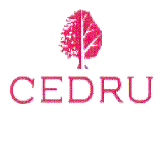 CEDRU