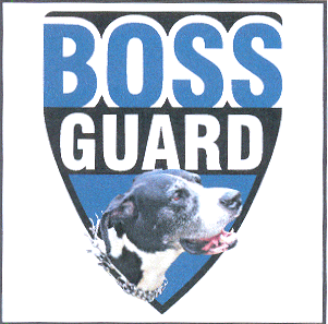 BOSS GUARD