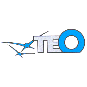 TEO