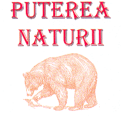 PUTEREA NATURII