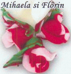 Mihaela si Florin
