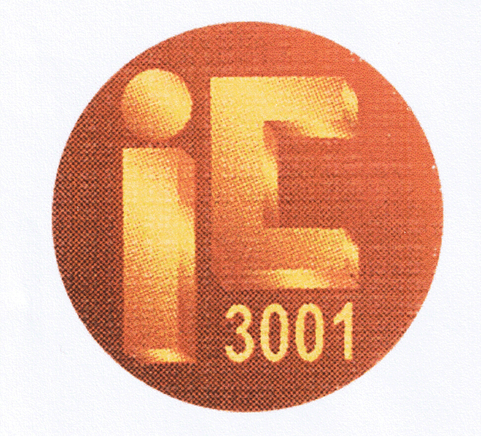 ic 3001
