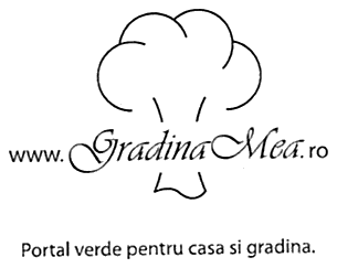 www.GradinaMea.ro Portal verde pentru casa si gradina.