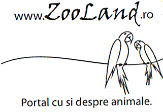 www.ZooLand.ro Portal cu si despre animale.