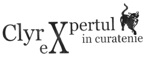 Clyr X - eXpertul in curatenie