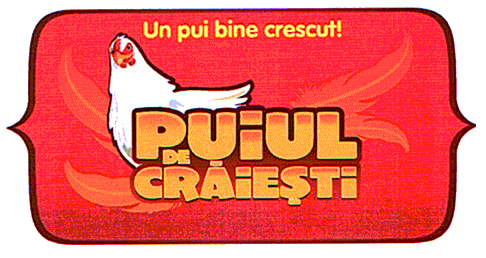 PUIUL DE CRĂIEŞTI Un pui bine crescut!