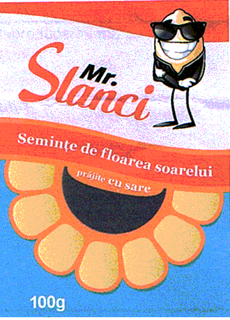 Mr. SLANCI