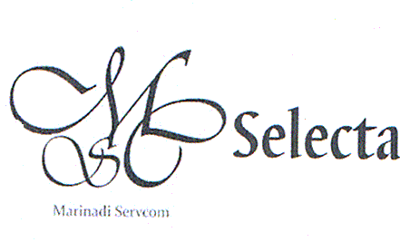 MSC MARINADI SERVCOM SELECTA