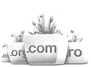 eu.org.com.ro,