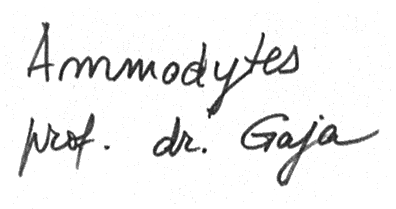 Ammodytes prof.dr.Gaja