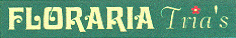 FLORARIA Tria's