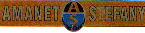 AMANET STEFANY AS IFN INSTITUT FINANCIAR