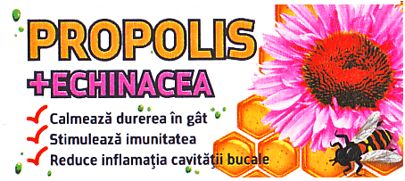 PROPOLIS ECHINACEA Calmează durerea în gât Stimulează imunitatea Reduce inflamaţia cavităţii bucale