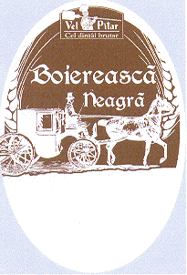 Vel Pitar Cel dintâi brutar Boierească neagră