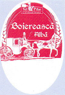 Vel Pitar Cel dintâi brutar Boierească Albă