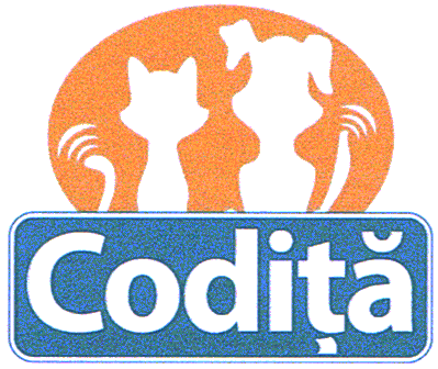Codiţă