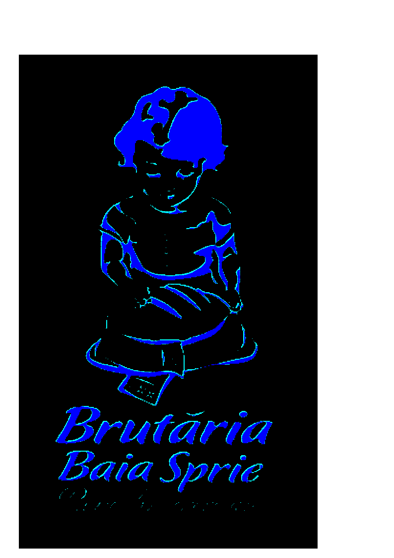 Brutăria Baia Sprie Pâine binecrescută