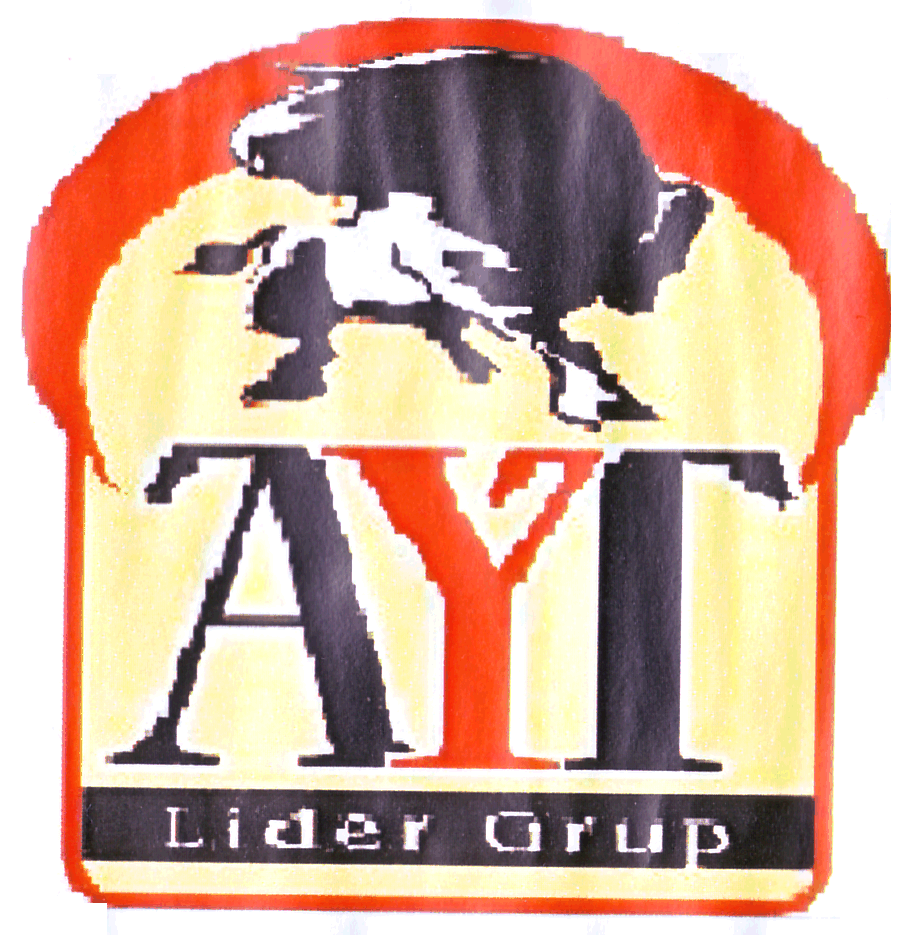 AYT Lider Grup