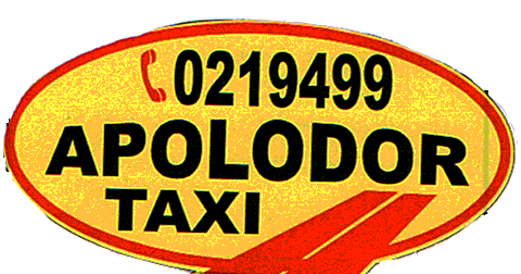 APOLODOR TAXI 0219499