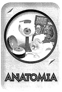 ANATOMIA