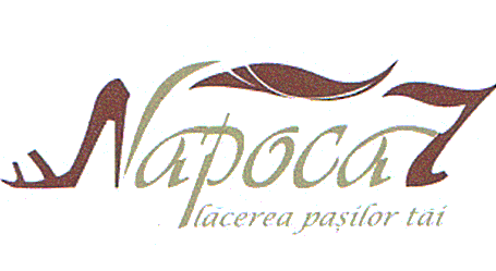 Napoca 7 plăcerea paşilor tăi