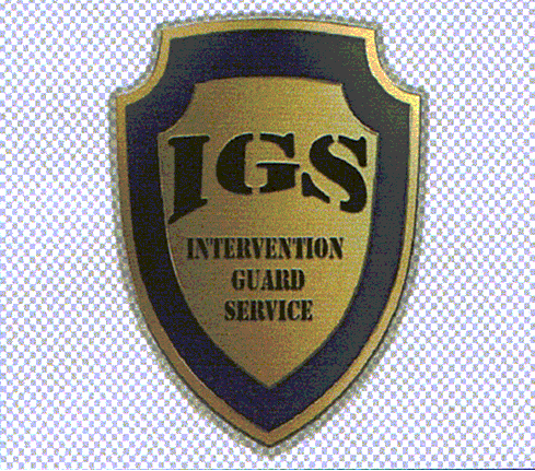 IGS INTERVENTION GUARD SERVICE
