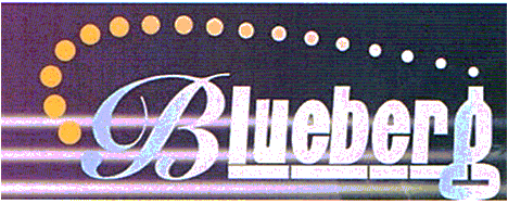 Blueberg