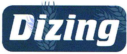 Dizing