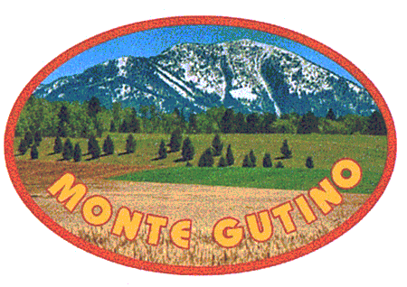 MONTE GUTINO