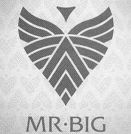 MR BIG