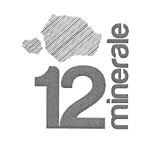 12 minerale