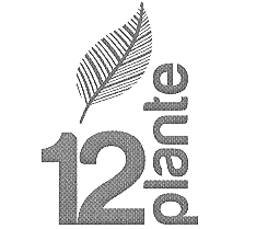12 plante