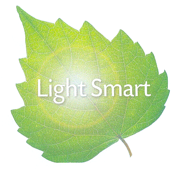 Light Smart