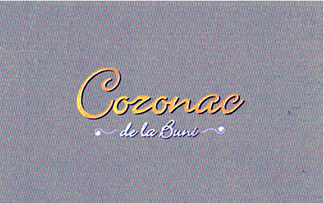 Cozonac de la Buni