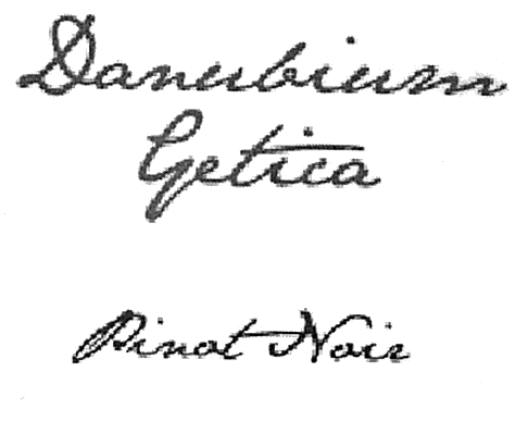 Danubium Getica Pinot Noir