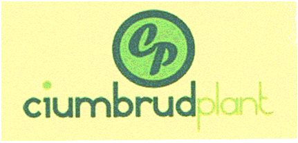 CP ciumbrudplant